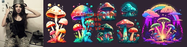 тгк Белокуриха