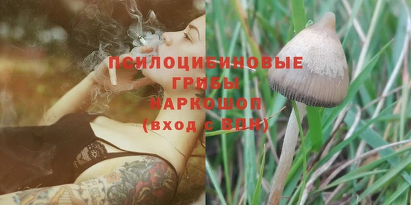 тгк Белокуриха