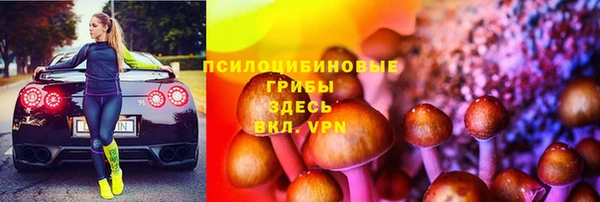 Альфа ПВП Беломорск