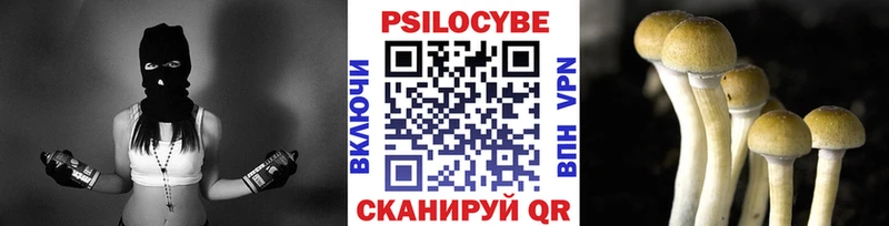 Галлюциногенные грибы Cubensis  даркнет сайт  Гудермес 